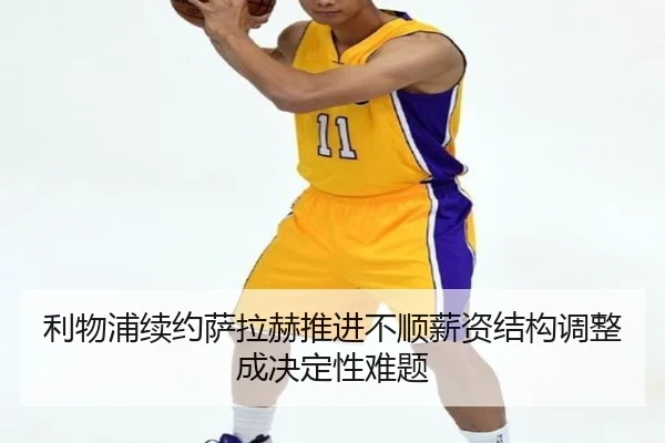 li-wu-pu-xu-yue-sa-la-he-tui-jin-bu-shun-xin-zi-jie-gou-tiao-zheng-cheng-jue-ding-xing-nan-ti-2-487.jpg