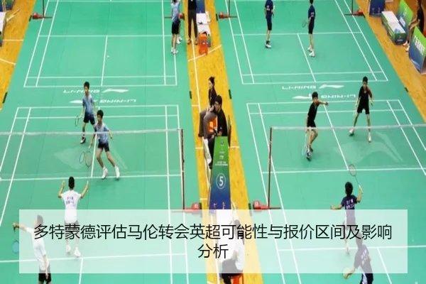 多特蒙德评估马伦转会英超可能性与报价区间及影响分析